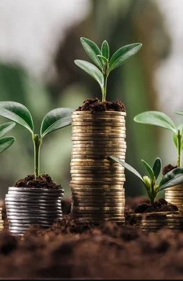 Saurabh Dudeja- Finance & Investments